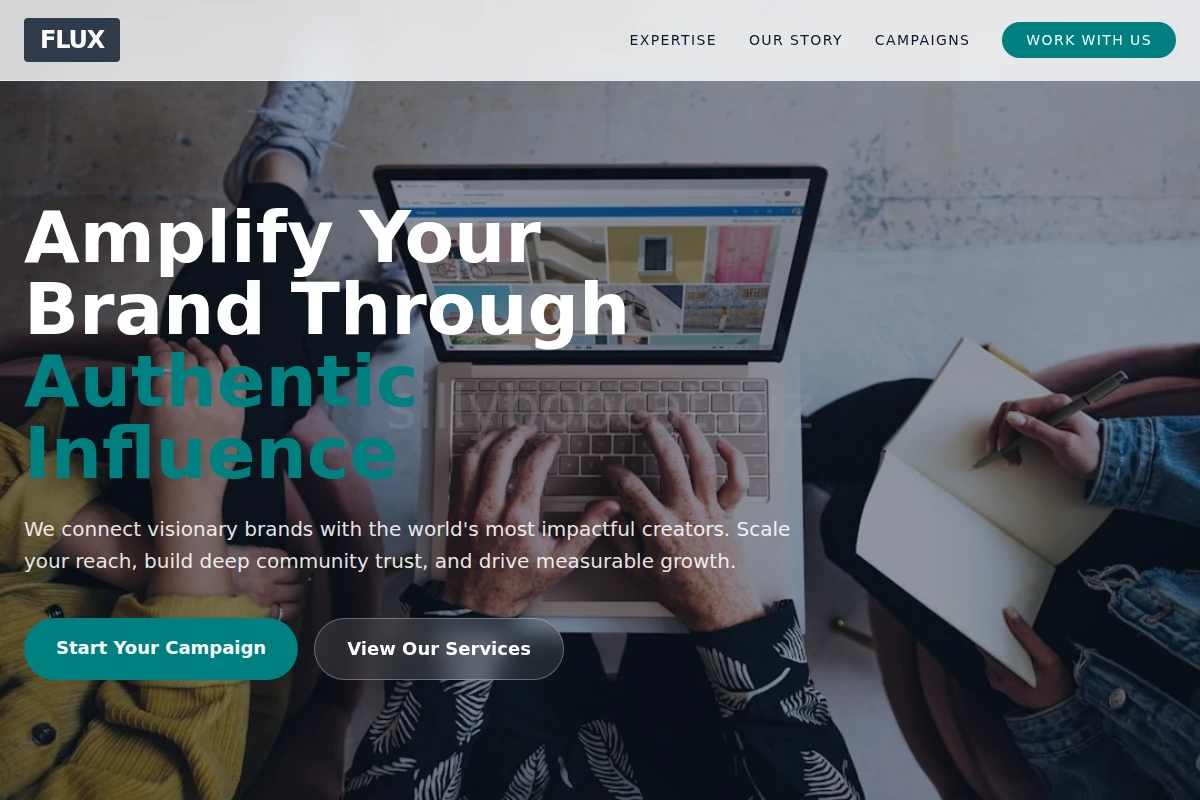 Flux Influencer Marketing