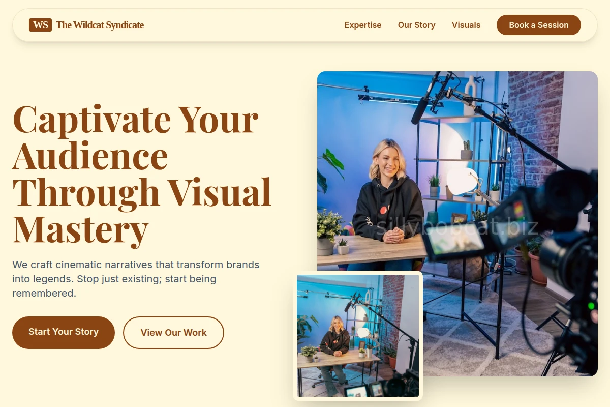 Artisan Video Marketing