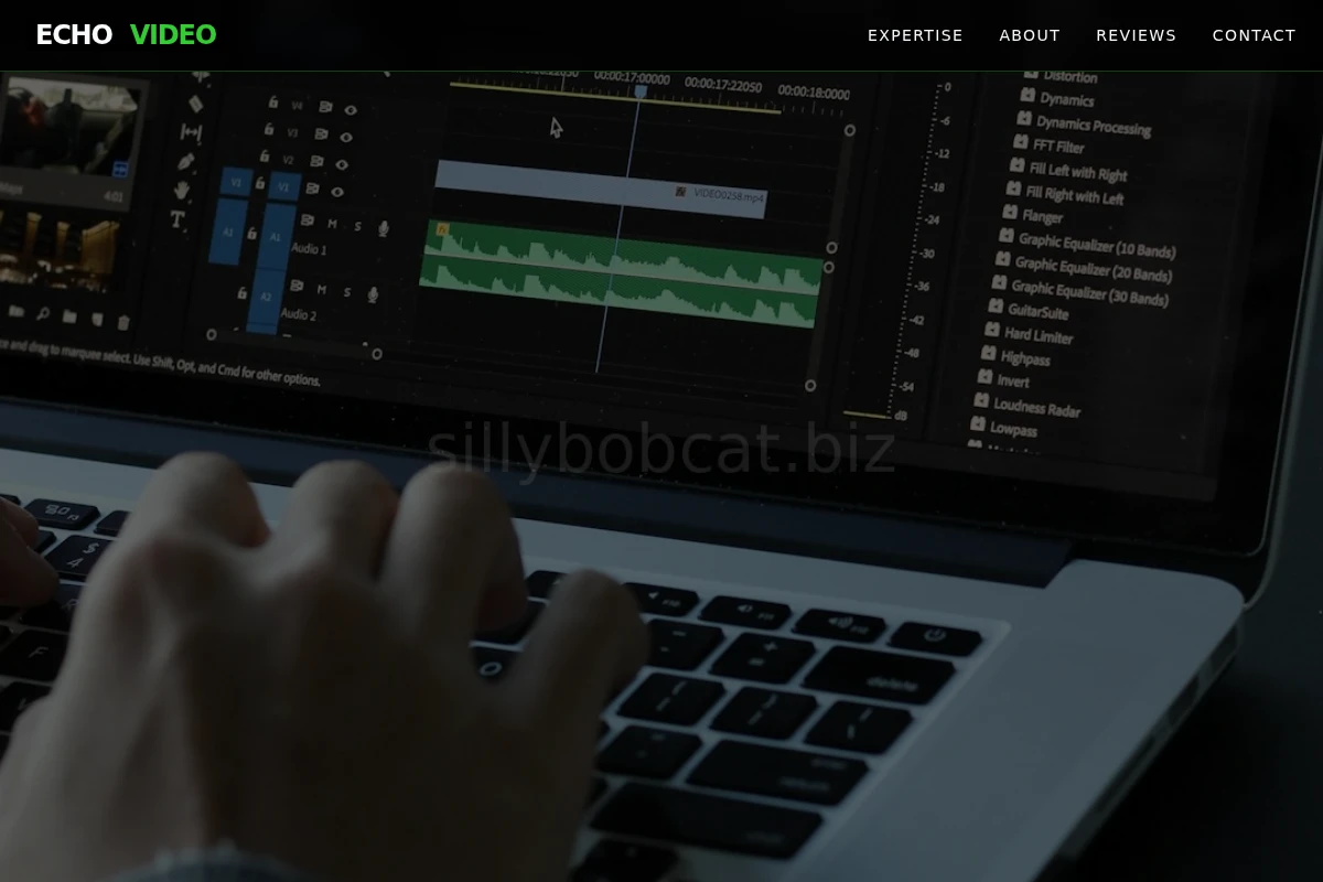 Echo Video Marketing