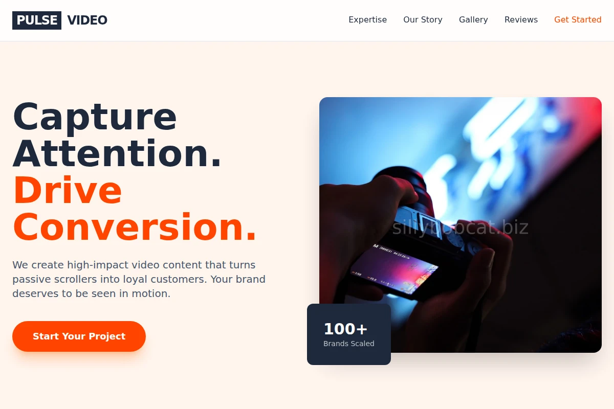 Pulse Video Marketing